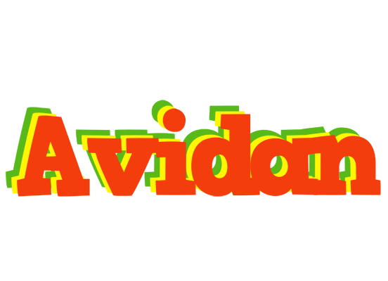Avidan bbq logo