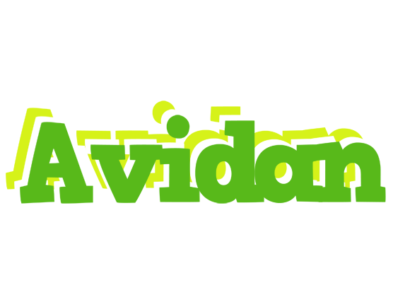 Avidan picnic logo