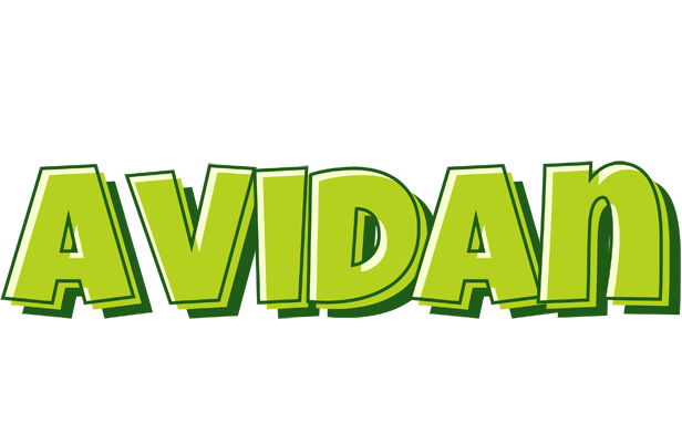 Avidan summer logo