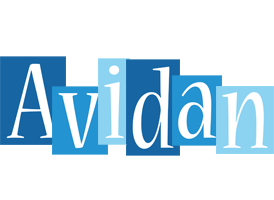 Avidan winter logo