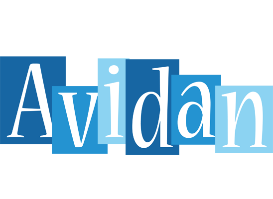 Avidan winter logo