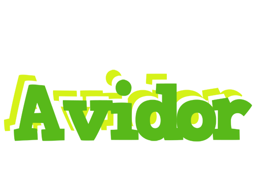 Avidor picnic logo