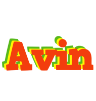 Avin bbq logo