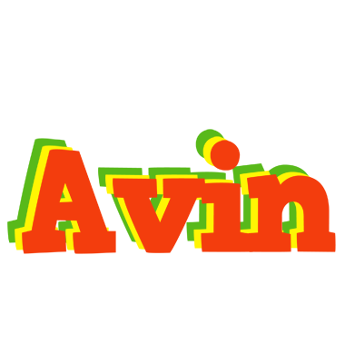 Avin bbq logo