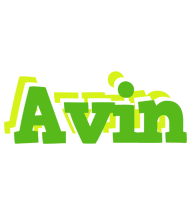 Avin picnic logo