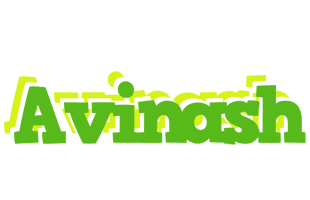 Avinash picnic logo