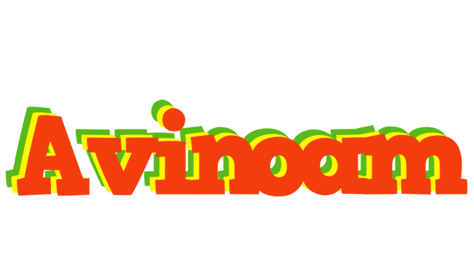 Avinoam bbq logo