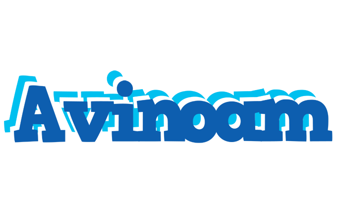 Avinoam business logo