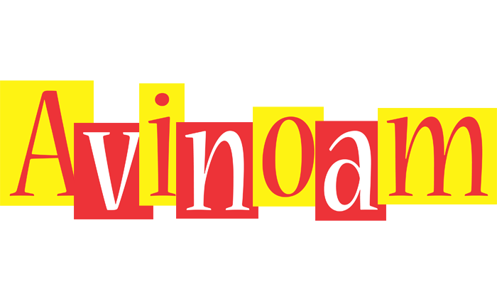 Avinoam errors logo