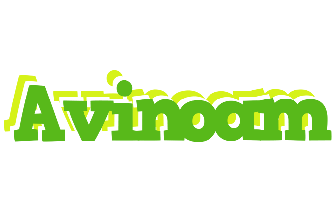 Avinoam picnic logo