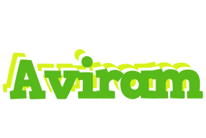 Aviram picnic logo