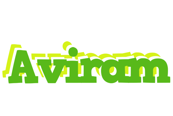 Aviram picnic logo