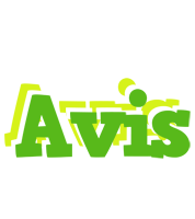 Avis picnic logo