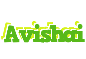 Avishai picnic logo