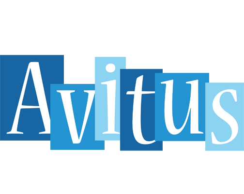 Avitus winter logo