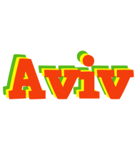 Aviv bbq logo