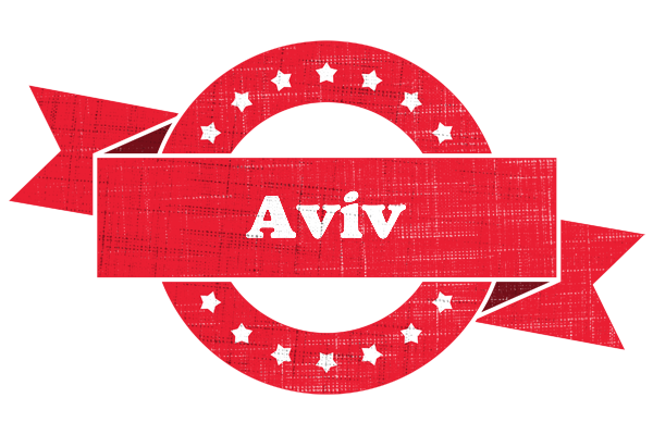 Aviv passion logo