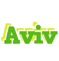 Aviv picnic logo