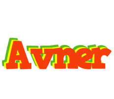 Avner bbq logo