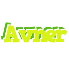 Avner citrus logo