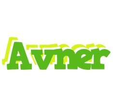 Avner picnic logo