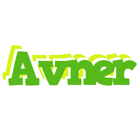 Avner picnic logo