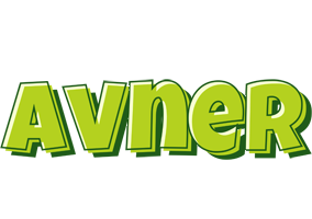 Avner summer logo