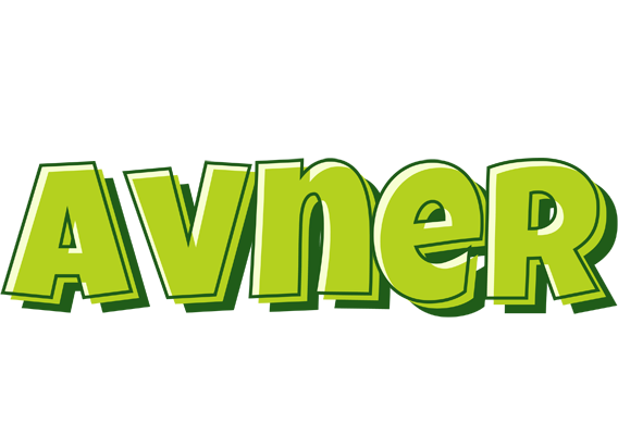 Avner summer logo