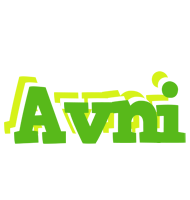 Avni picnic logo