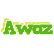 Awaz picnic logo