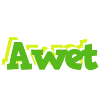 Awet picnic logo