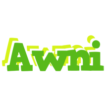 Awni picnic logo