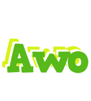 Awo picnic logo