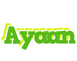 Ayaan picnic logo