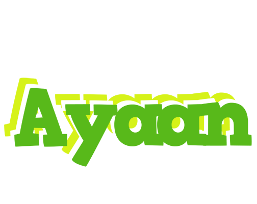 Ayaan picnic logo