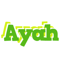 Ayah picnic logo