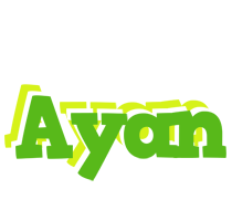 Ayan picnic logo