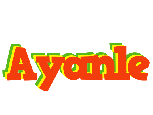 Ayanle bbq logo