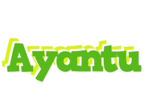 Ayantu picnic logo