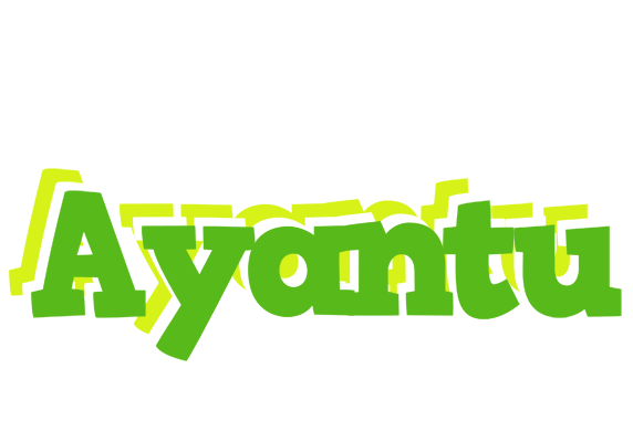 Ayantu picnic logo
