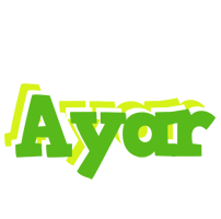 Ayar picnic logo