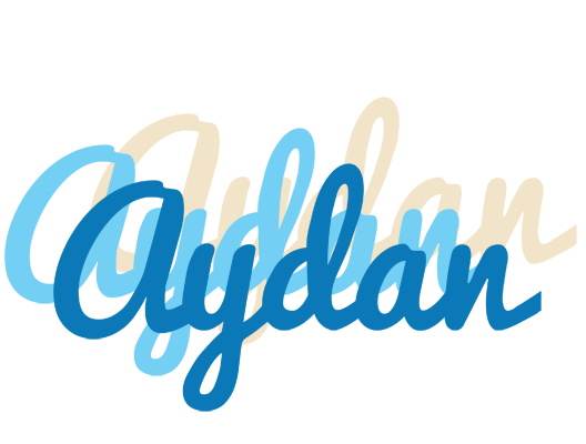 Aydan breeze logo