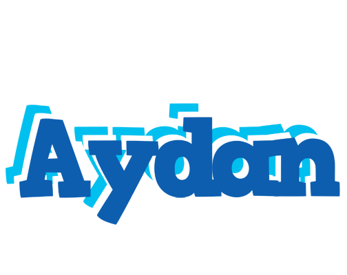 Aydan business logo