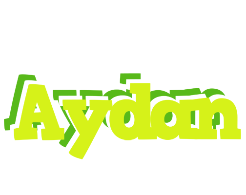 Aydan citrus logo
