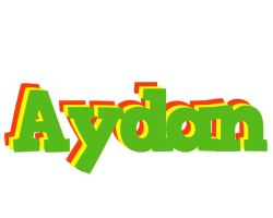 Aydan crocodile logo