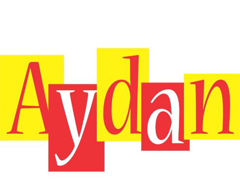 Aydan errors logo