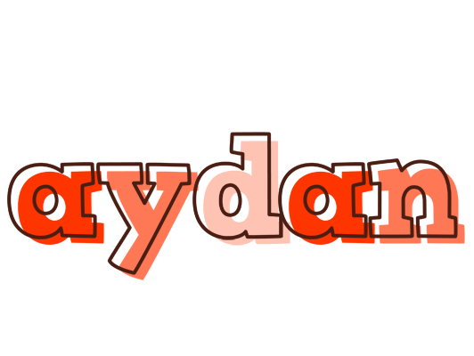 Aydan paint logo