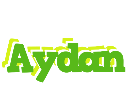 Aydan picnic logo