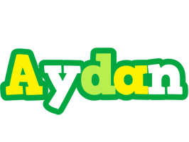 Aydan soccer logo