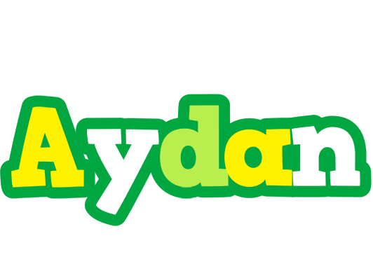 Aydan soccer logo